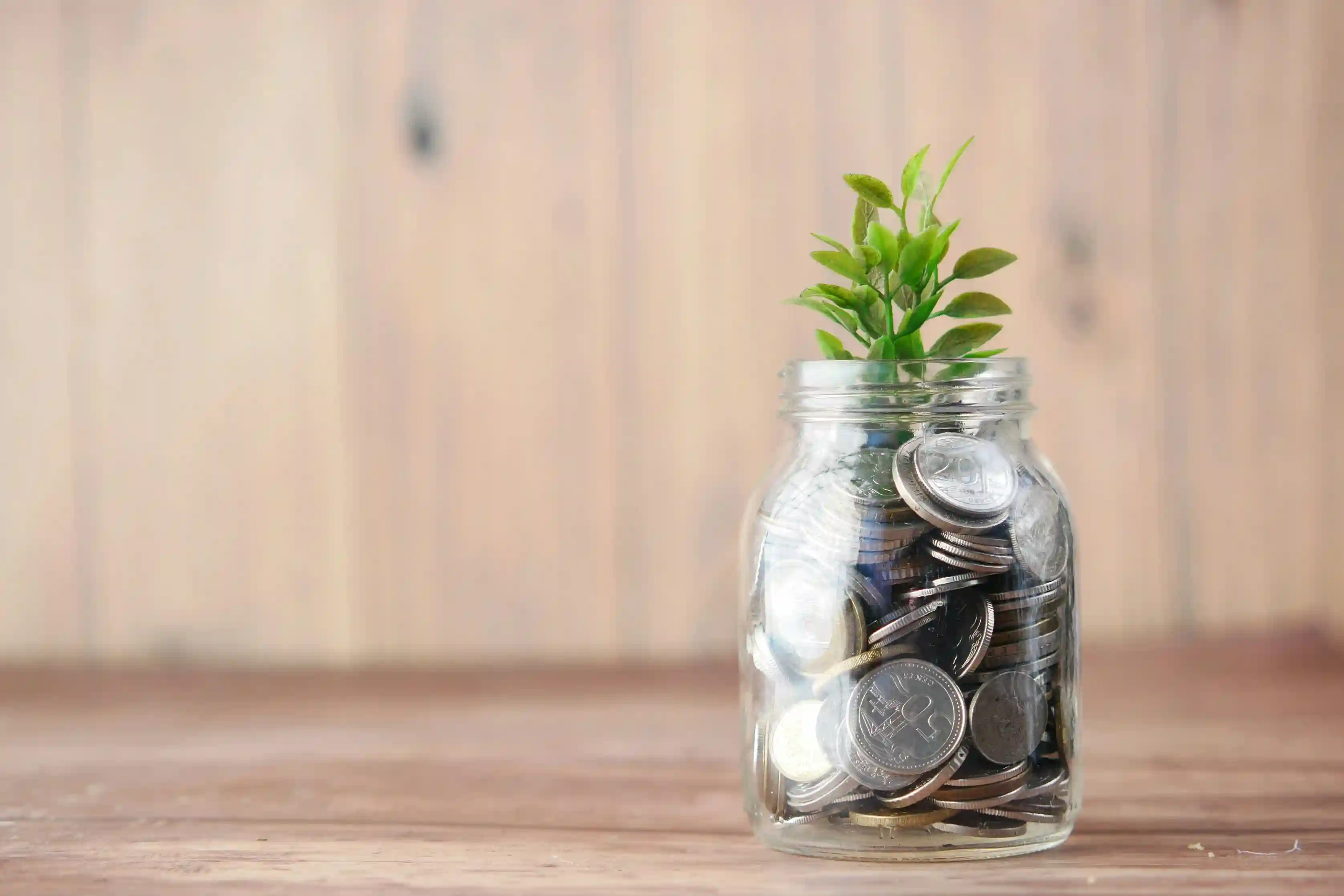 Economic Marketing Solutions